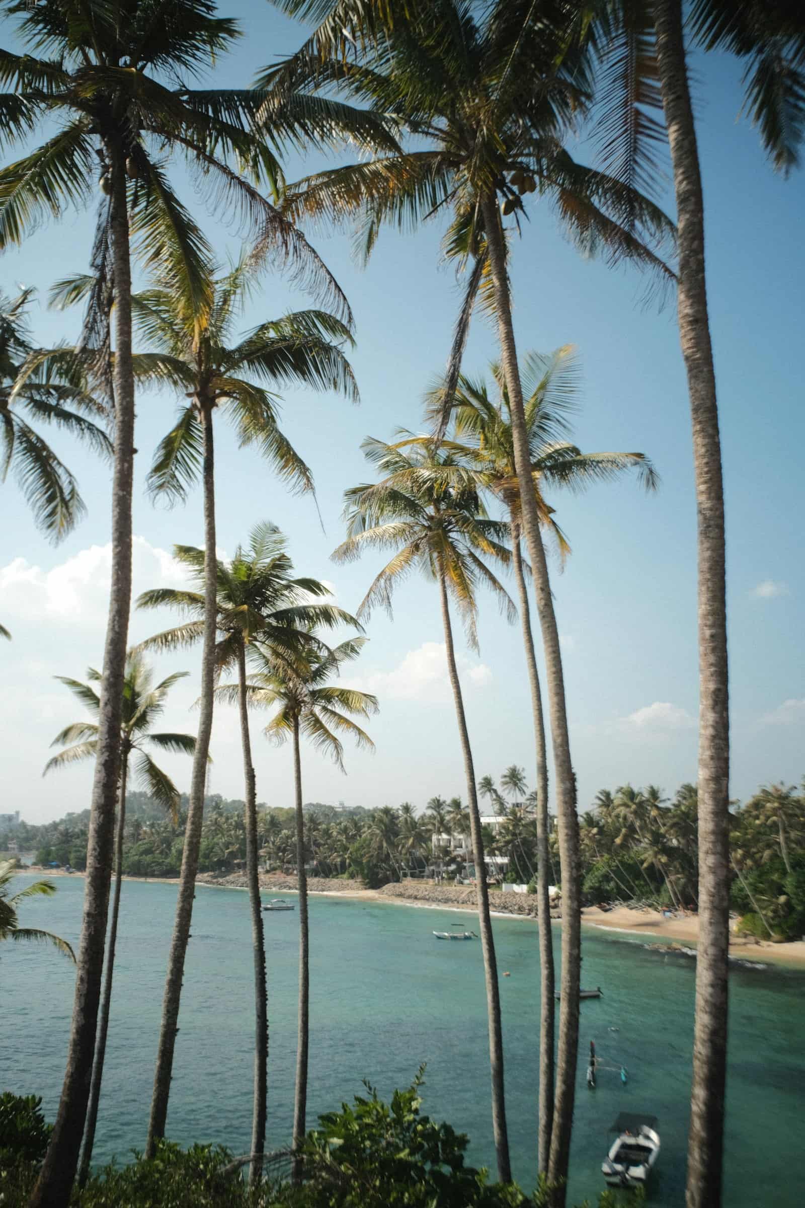 Southern Coast & Beaches — day 3 1