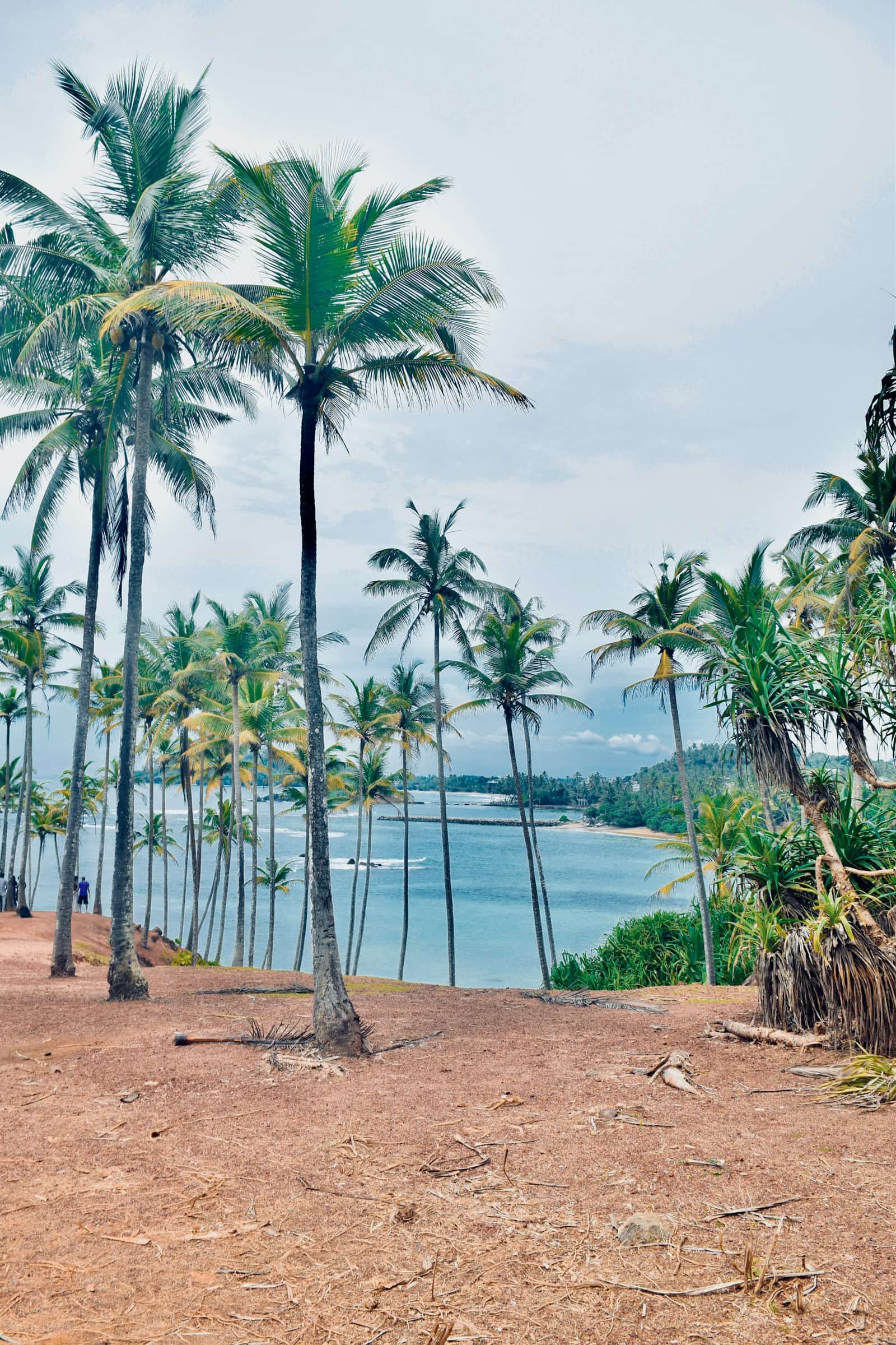Mirissa Beach